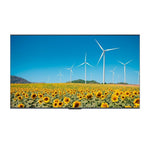 Hisense 43DP30FE 43" UHD Digital Signage – 350 Nits, 16/7 Operation, Android 9