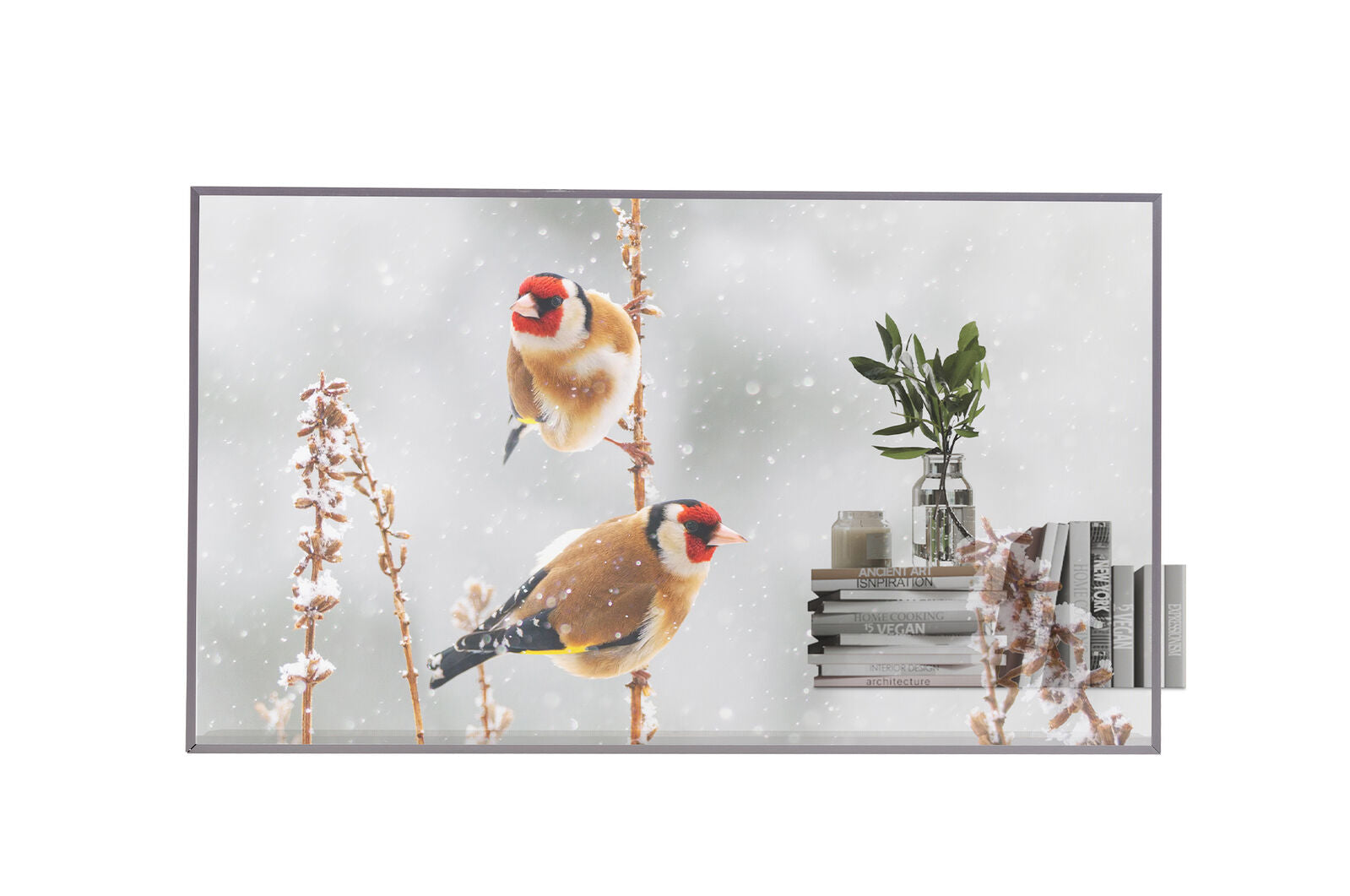 LG 55EW5P 55" Transparent OLED FHD Signage Display – 43% Transparency, webOS 7.5, 18/7 Operation | Sleek Open Frame Design