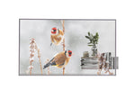 LG 55EW5P 55" Transparent OLED FHD Signage Display – 43% Transparency, webOS 7.5, 18/7 Operation | Sleek Open Frame Design