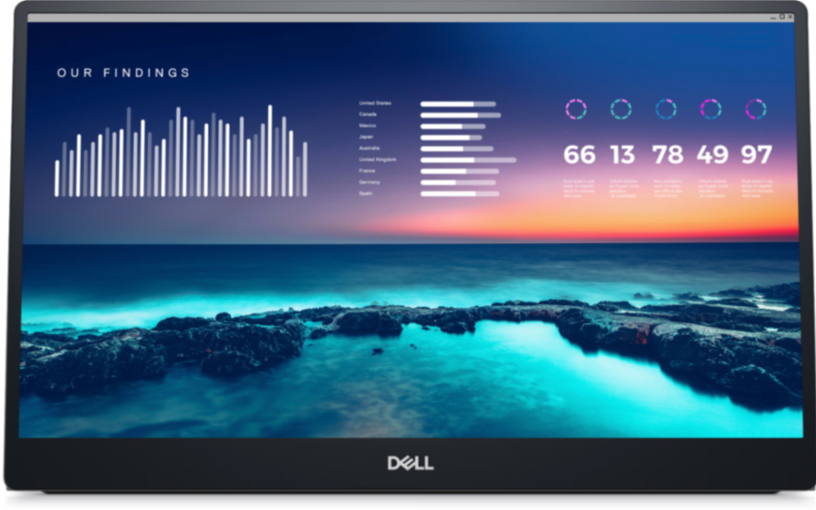 Dell P1424H 14" Class Full HD LED Monitor