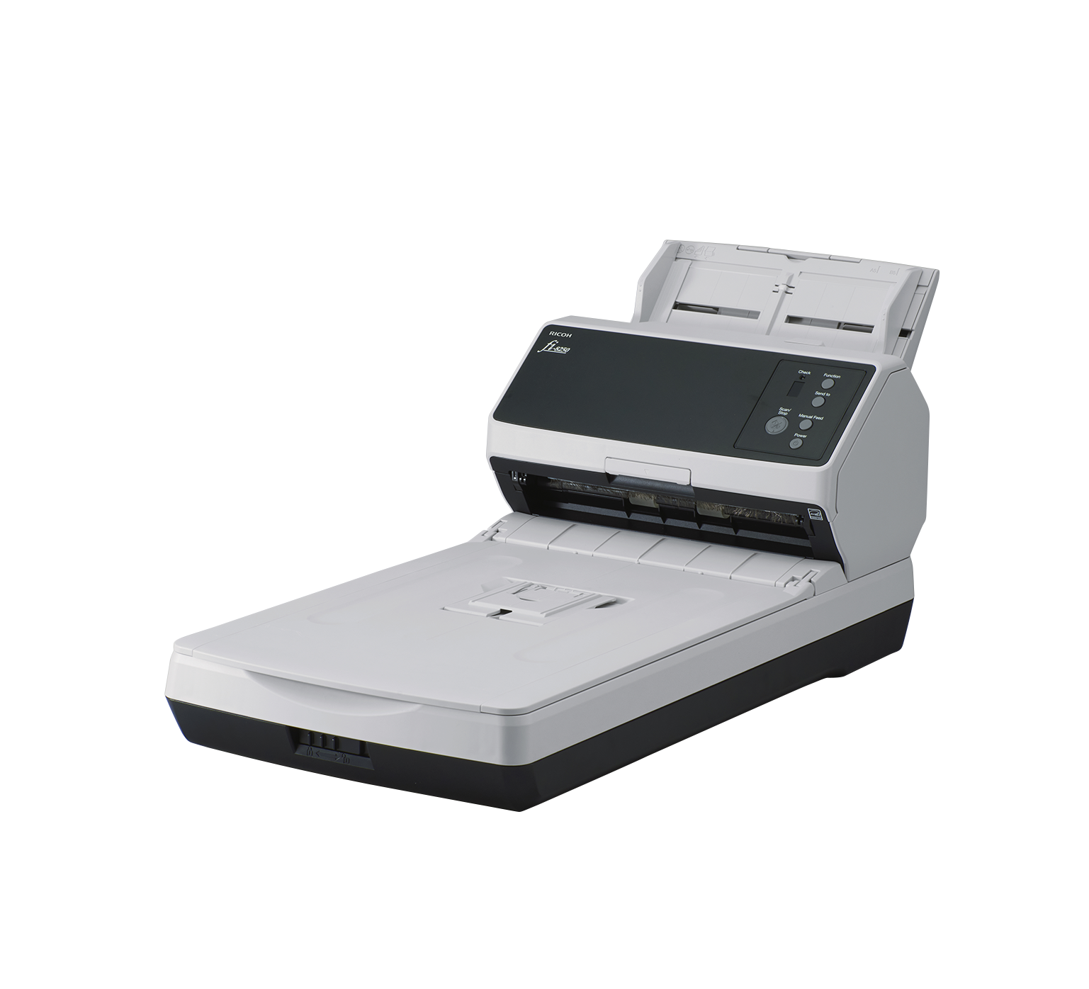 Image alt